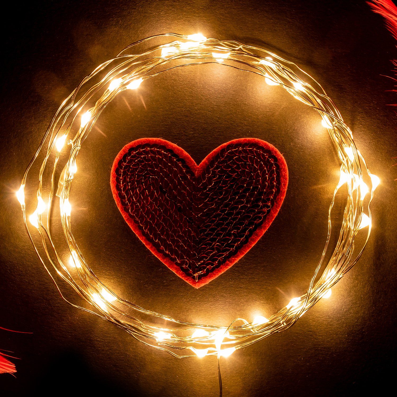 Salcar Lichterkette LED Kupfer Lichterkette Weihnachtsbeleuchtung für Innen & Außen Deko, 10m 100 LED Silberfarbener-Kupferdraht, USB, Warmweiß