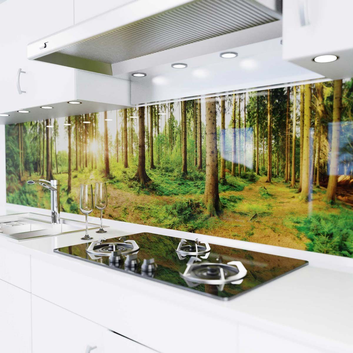 Wald danario - versteifte - Küche Spritzschutz Glasoptik selbstklebend Folie Sonnenstrahlen im - PET Küchenrückwand