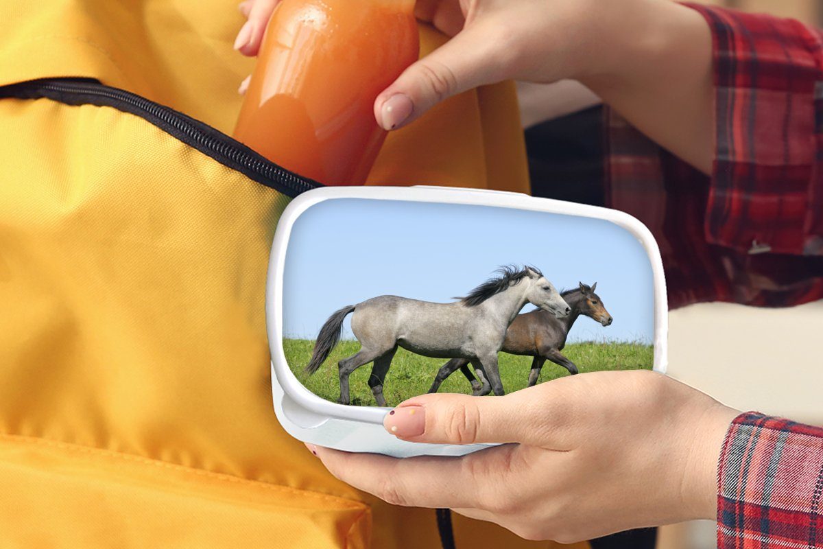 MuchoWow Lunchbox Pferde - Brotbox Mädchen Brotdose, für und Erwachsene, Gras, Kinder Tiere (2-tlg), Jungs für weiß Kunststoff, - und