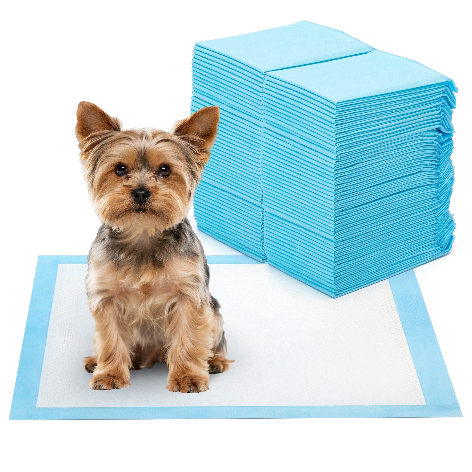 nobleza Hundewindel Trainingspads für Hunde und Welpen, Pipi Matten für Hunde