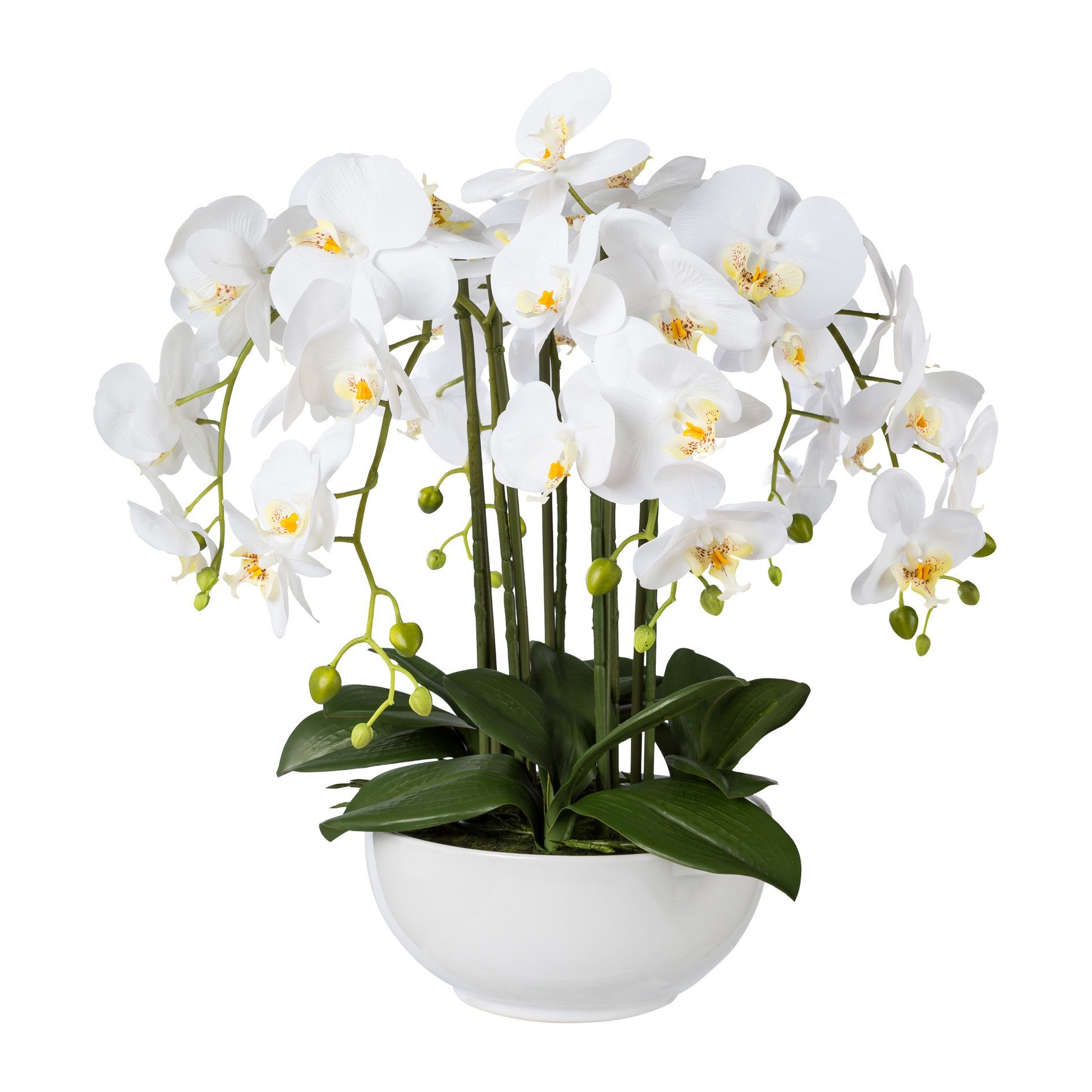 Kunstorchidee Kunstpflanze Orchidee Phalenopsis 54 cm, weiß in Keramik-Schale