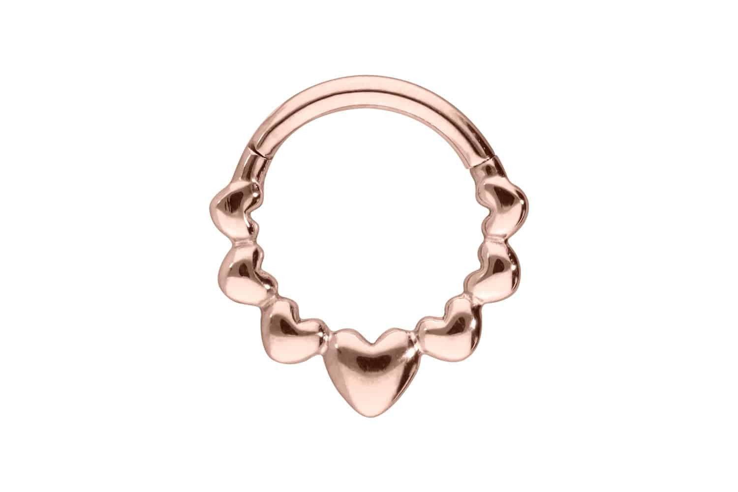 Nasenpiercing Titan Segmentring Clicker HERZEN Ohrpiercing Septum Nase