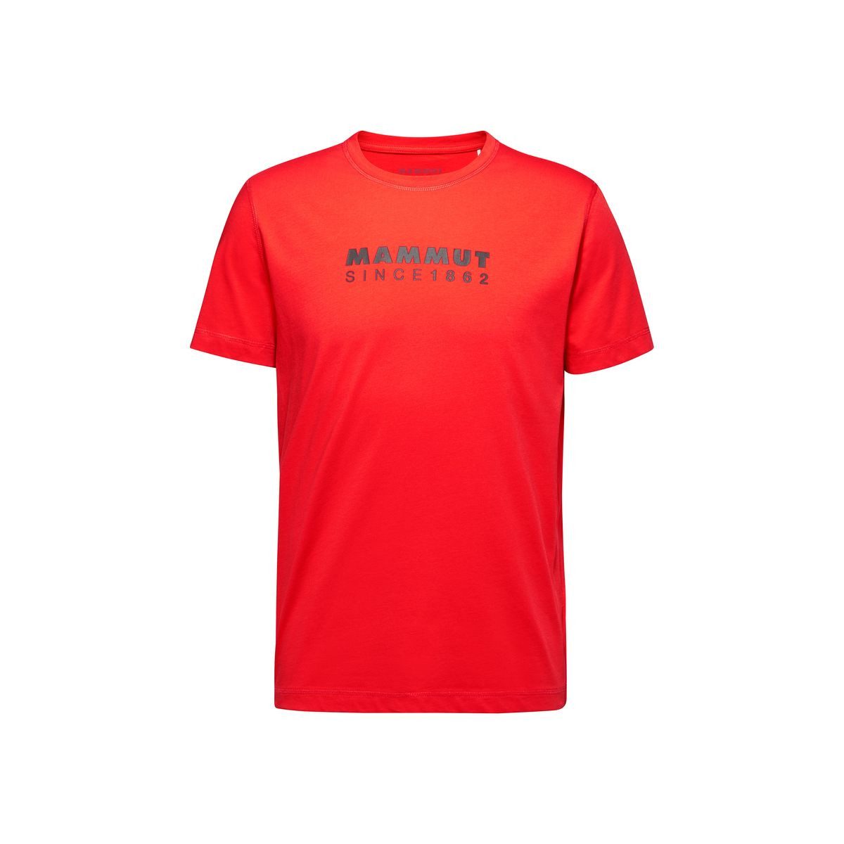 Mammut T-Shirt Mammut Core T-Shirt Herren Logo, T-Shirt - Mammut