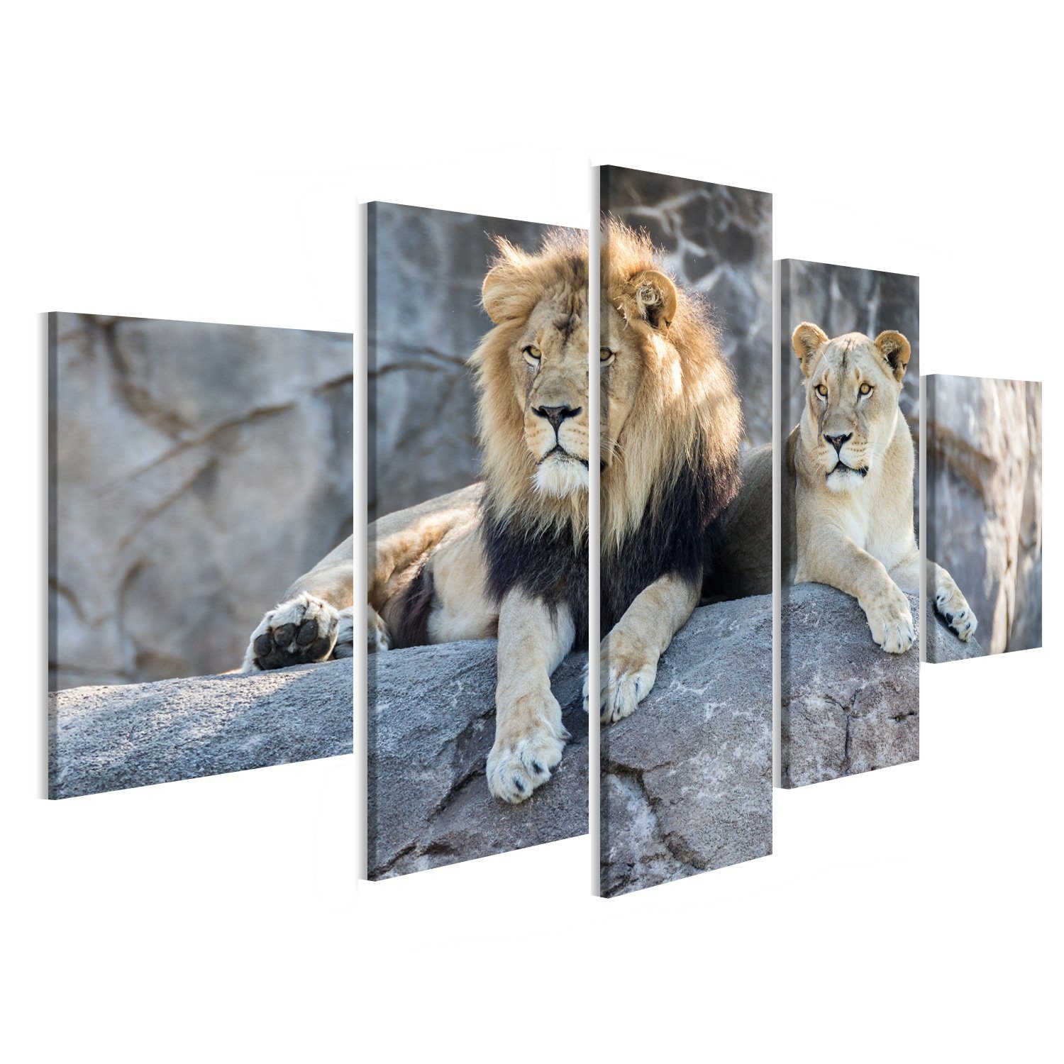islandburner Leinwandbild Bild auf Leinwand Männliche Und Weibliche Löwen Sitzt Auf Einem Felsen