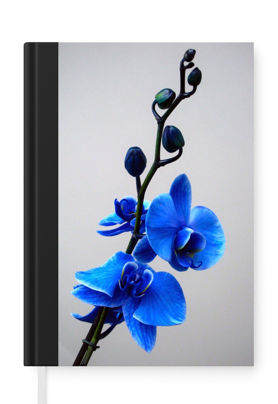 MuchoWow Notizbuch Blaue Orchidee, Journal, Merkzettel, Tagebuch, Notizheft, A5, 98 Seiten, Haushaltsbuch