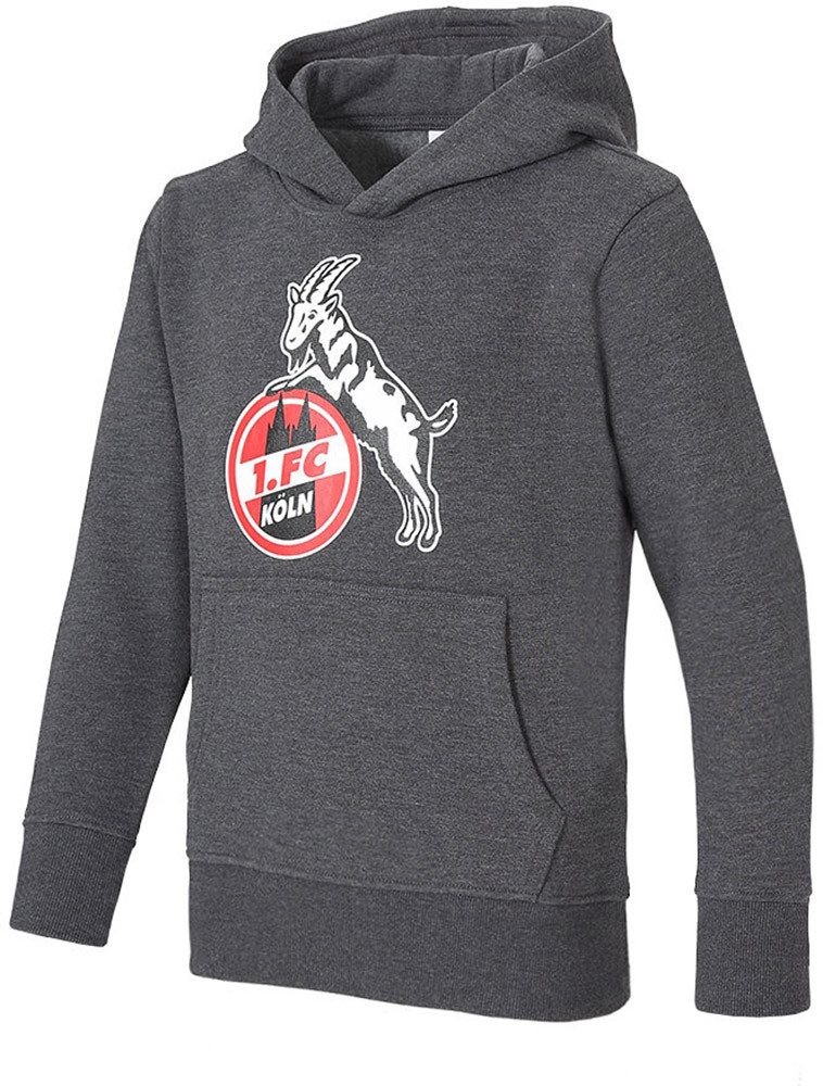 1. FC Köln Hoodie Hoodie Basic Anthrazit