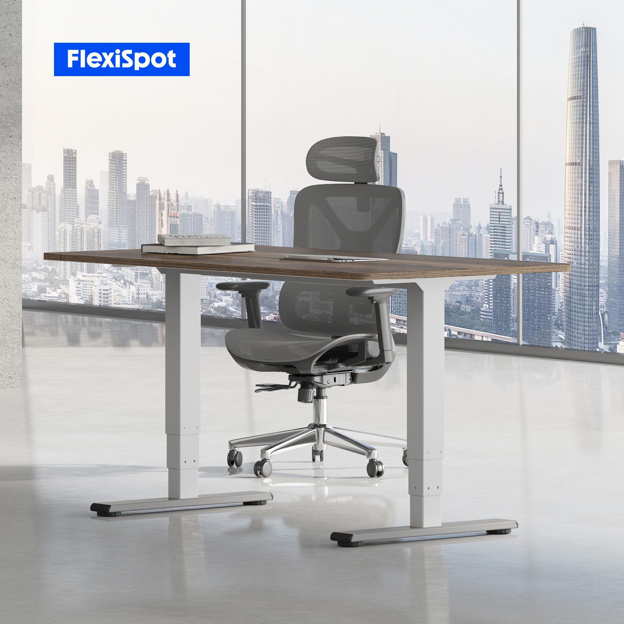 FLEXISPOT Schreibtisch Elektrisch Höhenverstellbarer Schreibtisch EC5 LITE günstig online kaufen