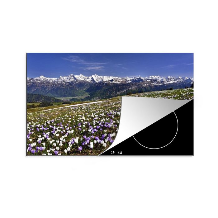 MuchoWow Herdblende-/Abdeckplatte Krokuswiese oberhalb der Berner Alpen in der Schweiz Vinyl (1 tlg) induktionskochfeld Schutz für die küche Ceranfeldabdeckung