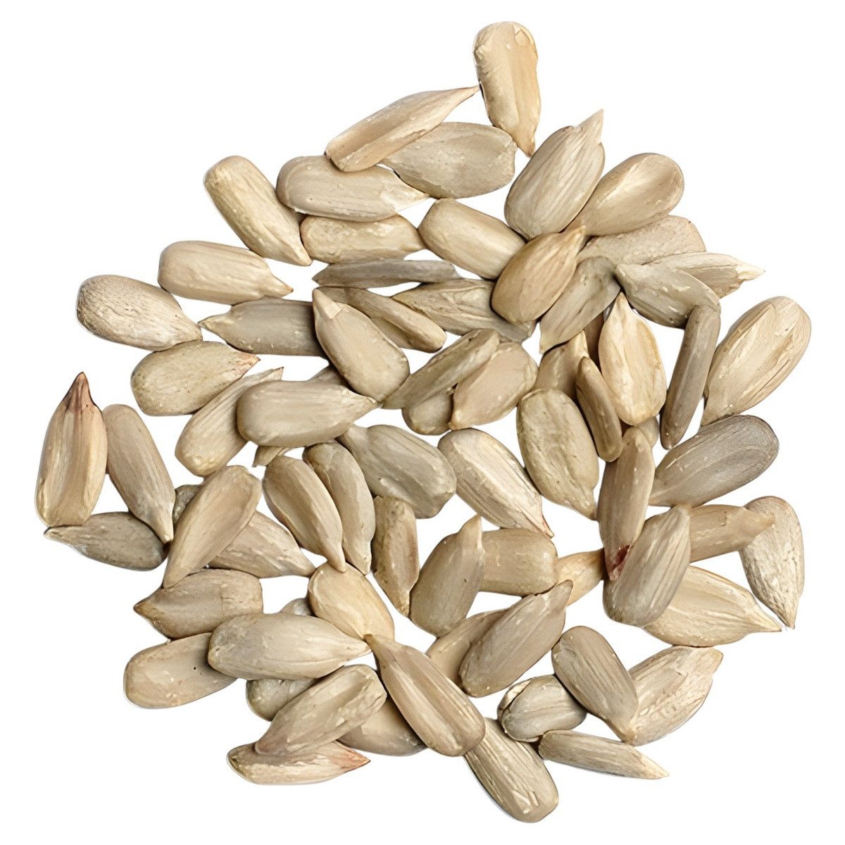 Erdtmann geschälte Sonnenblumenkerne PLUS 25 kg, für: Vogel