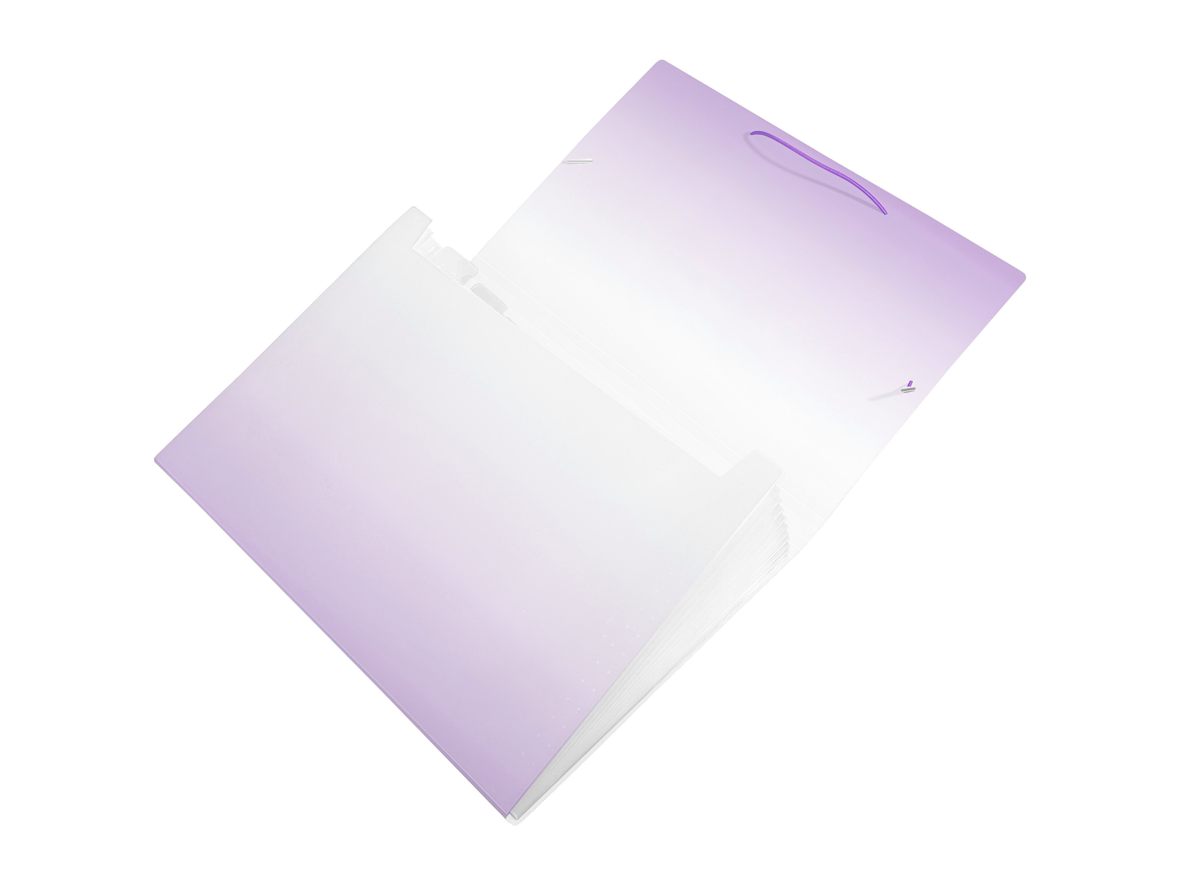 Idena Fächermappe Idena Fächermappe PP Color Edition 12 Fächer weiß/lila DIN A4