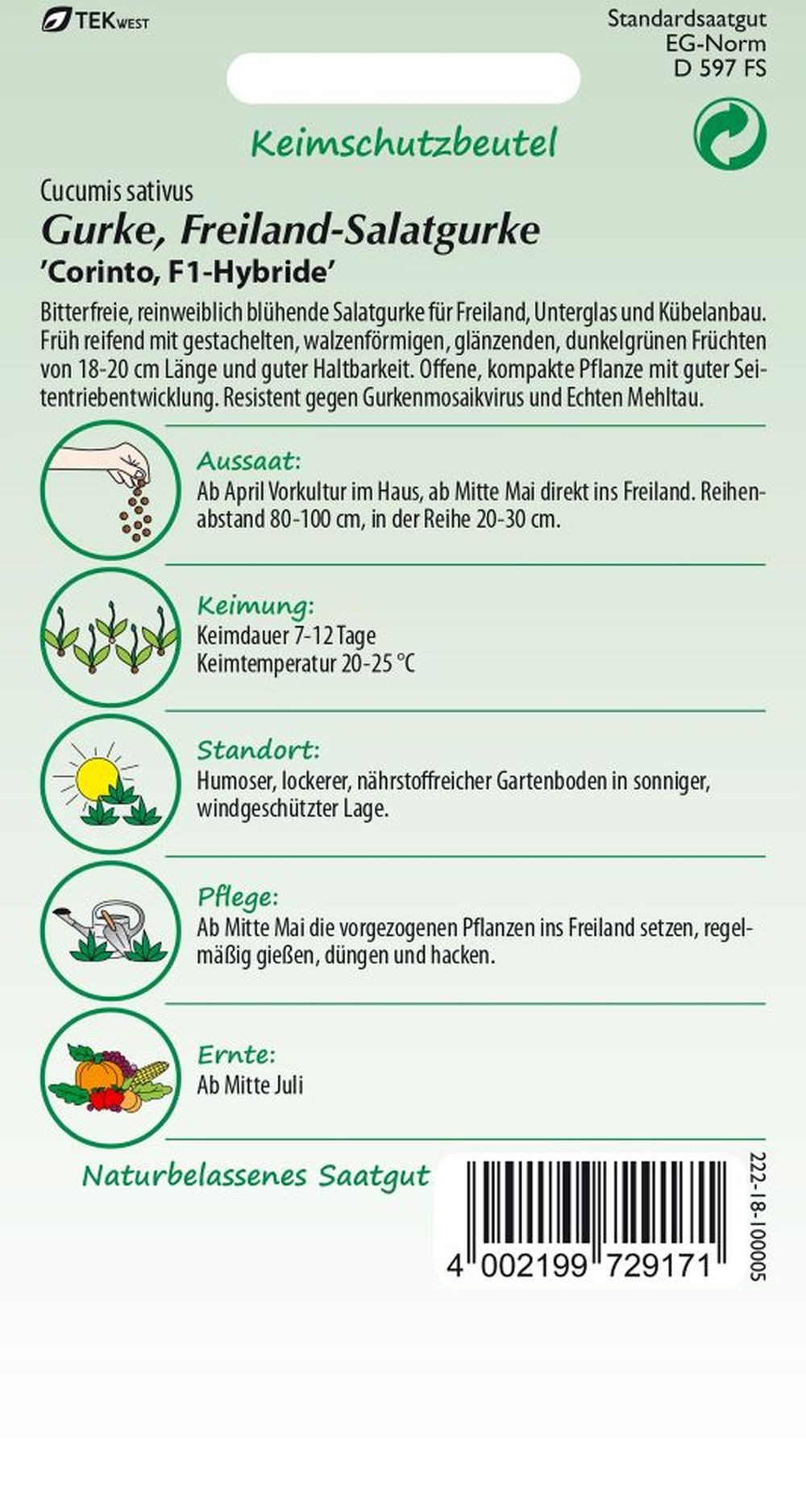 SAMEN PFANN Gemüsesamen Salatgurke, Freiland-Salatgurke, Corinto F1 - Gemüs günstig online kaufen