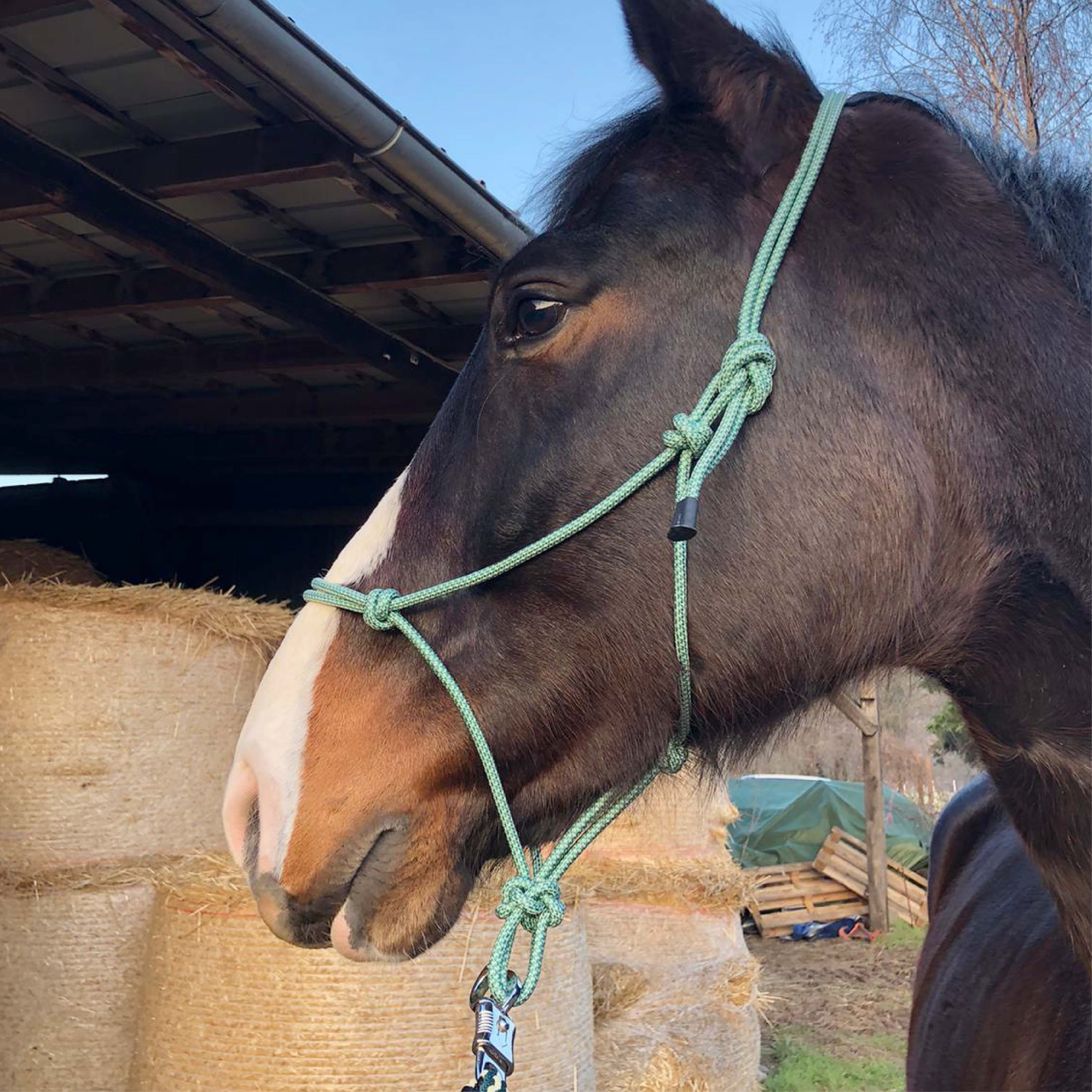 Pferdelinis Веревка недоуздок Веревка недоуздок für Pferde, Веревка недоуздок für Shetty, Pony, Cob, Wb, Knoten individuell verstellbar