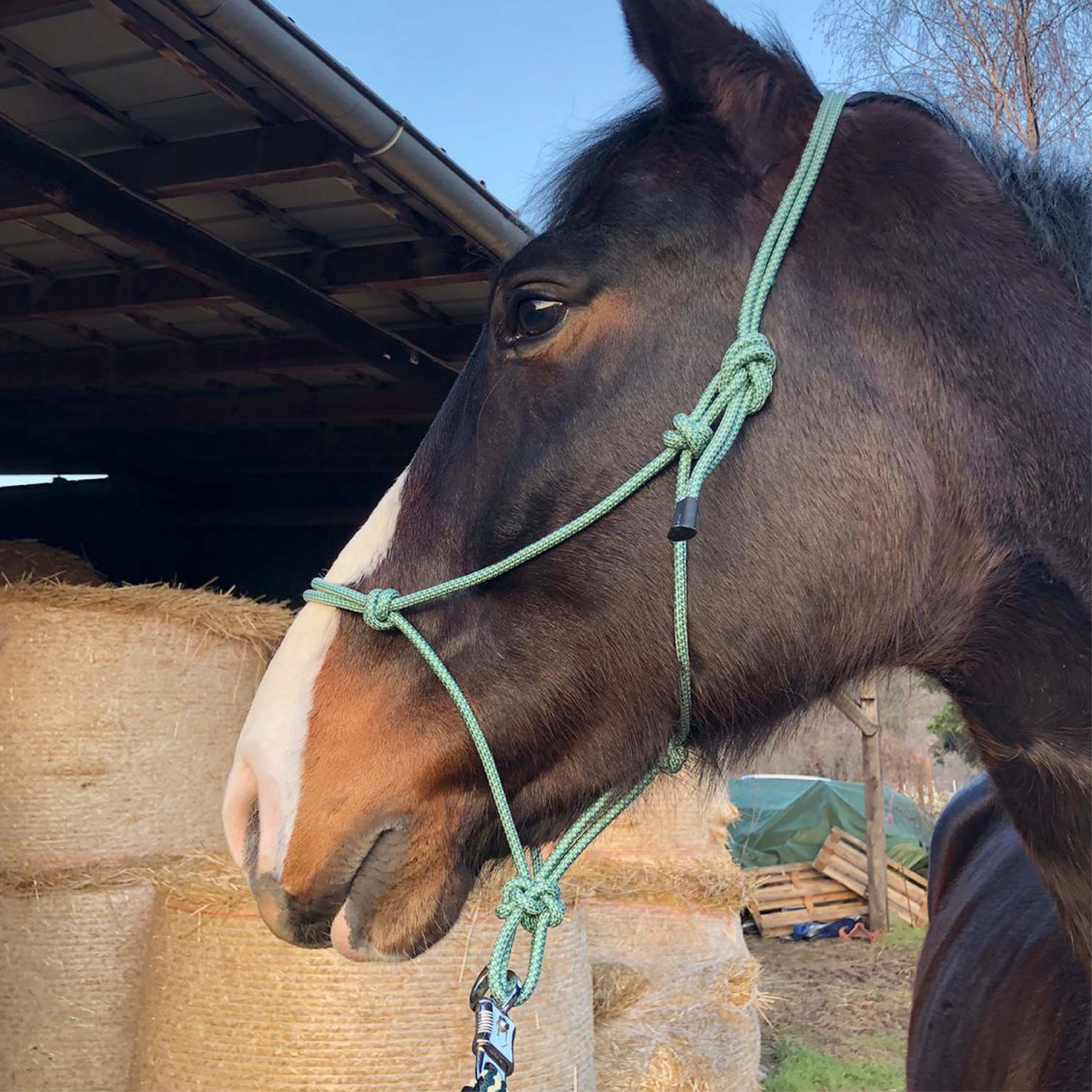 Pferdelinis Knotenhalfter Knotenhalfter für Pferde, Knotenhalfter für Shetty, Pony, Cob, Wb, Knoten individuell verstellbar