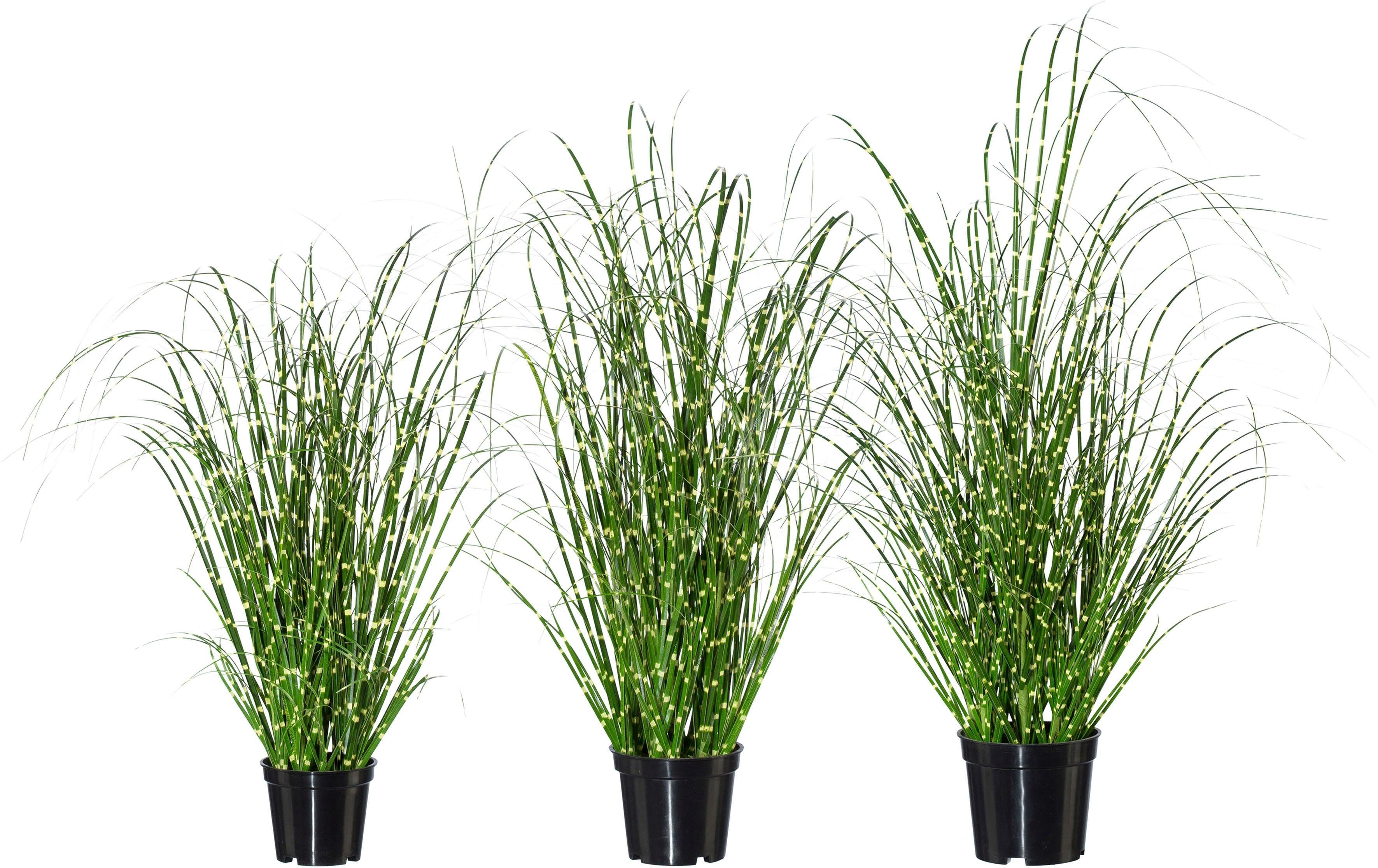 Kunstgras Miscanthus, Creativ green günstig online kaufen