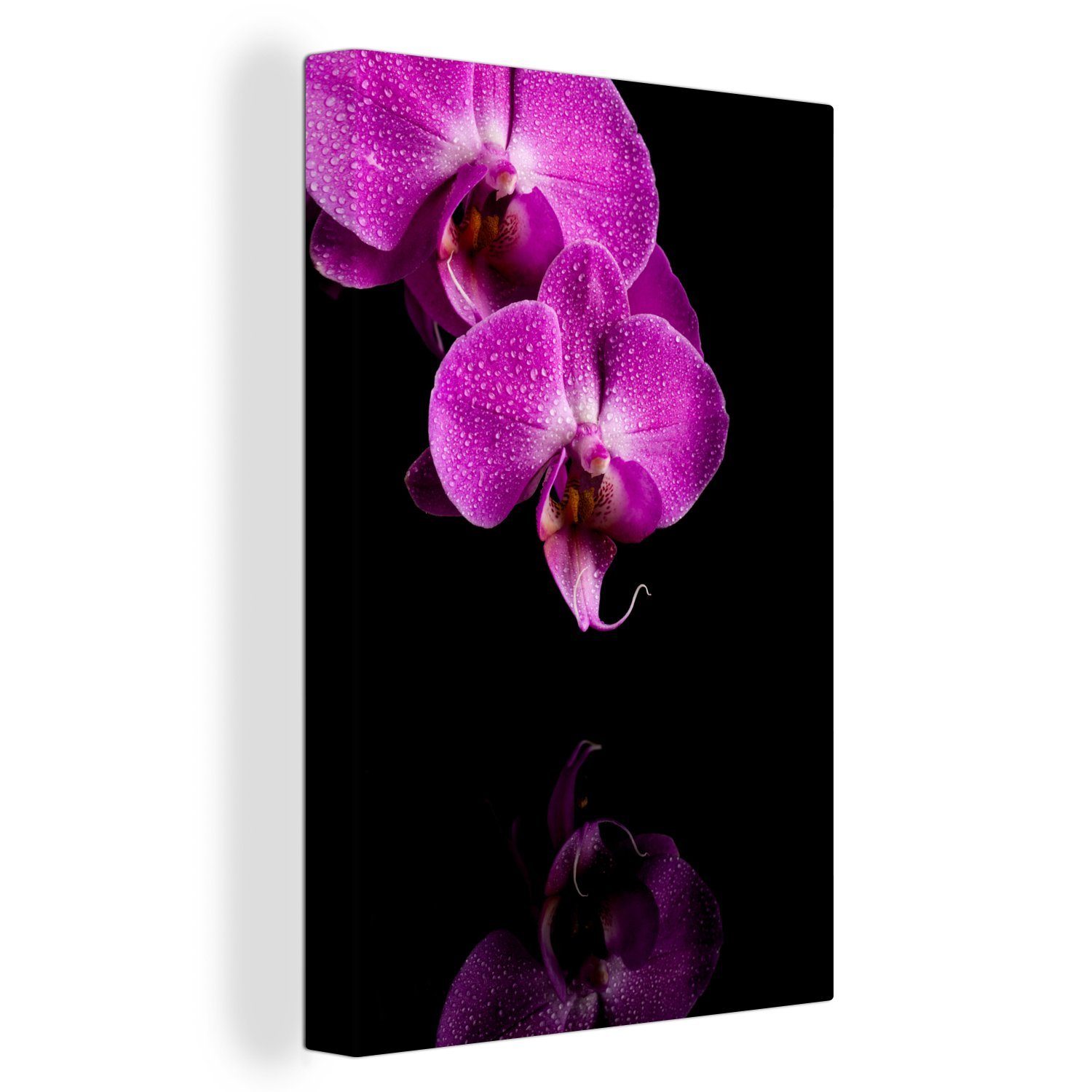 OneMillionCanvasses® Leinwandbild Zwei lila Orchideen vor schwarzem Hintergrund, (1 St), Leinwandbild fertig bespannt inkl. Zackenaufhänger, Gemälde, 20x30 cm