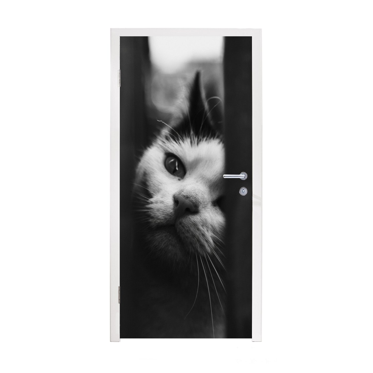 MuchoWow Türtapete Tierprofil Spionage Katze in schwarz und weiß, Matt, bedruckt, (1 St), Fototapete für Tür, Türaufkleber, 75x205 cm