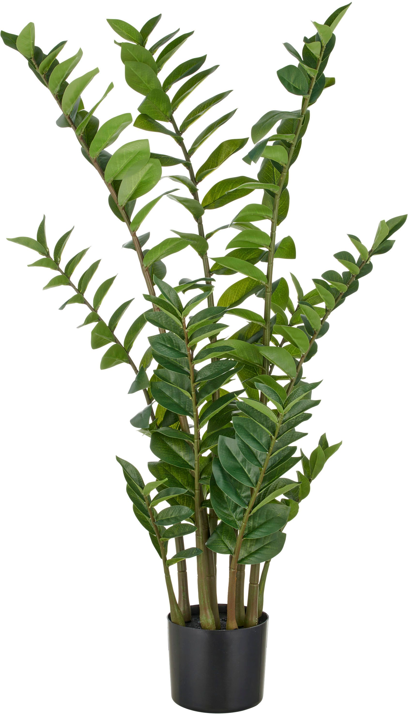 Kunstpflanze Zamifolia, Creativ green, Höhe 110 cm, mit detailgetreuer Gest günstig online kaufen