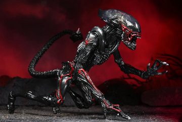 NECA Actionfigur Aliens 7'' Scale Actionfigur Kenner Tribute Night Cougar