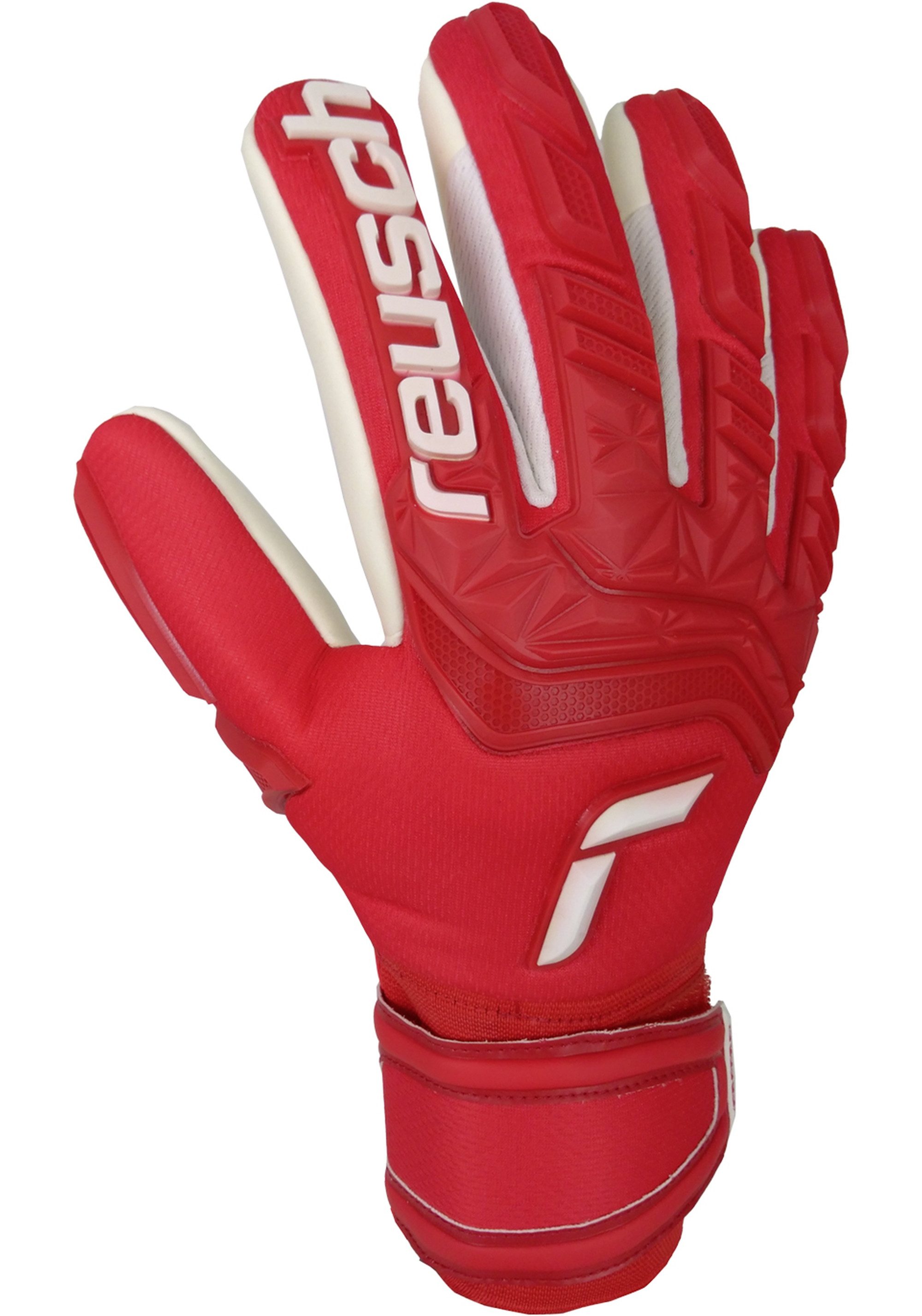 Reusch Torwarthandschuhe Attrakt Freegel Silver mit Evolution Negative Cut