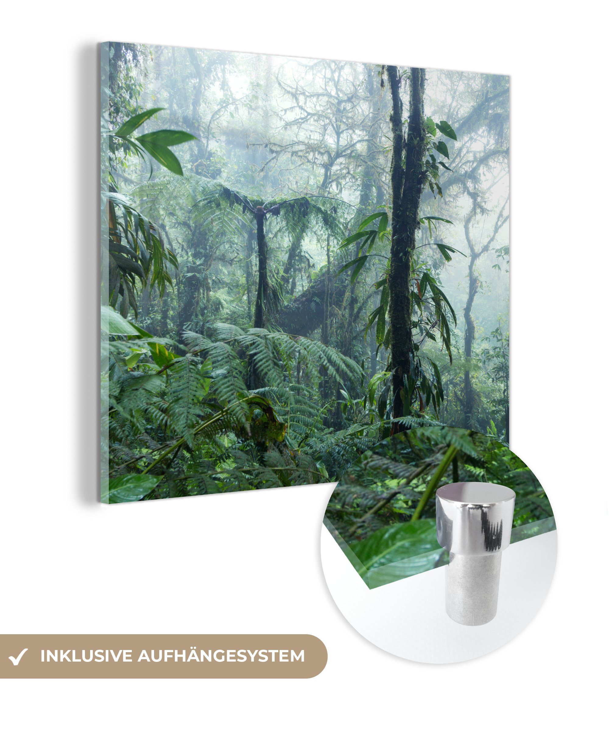 MuchoWow Acrylglasbild Nebliger Regenwald in Costa Rica, (1 St), Glasbilder - Bilder auf Glas Wandbild - Foto auf Glas - Wanddekoration