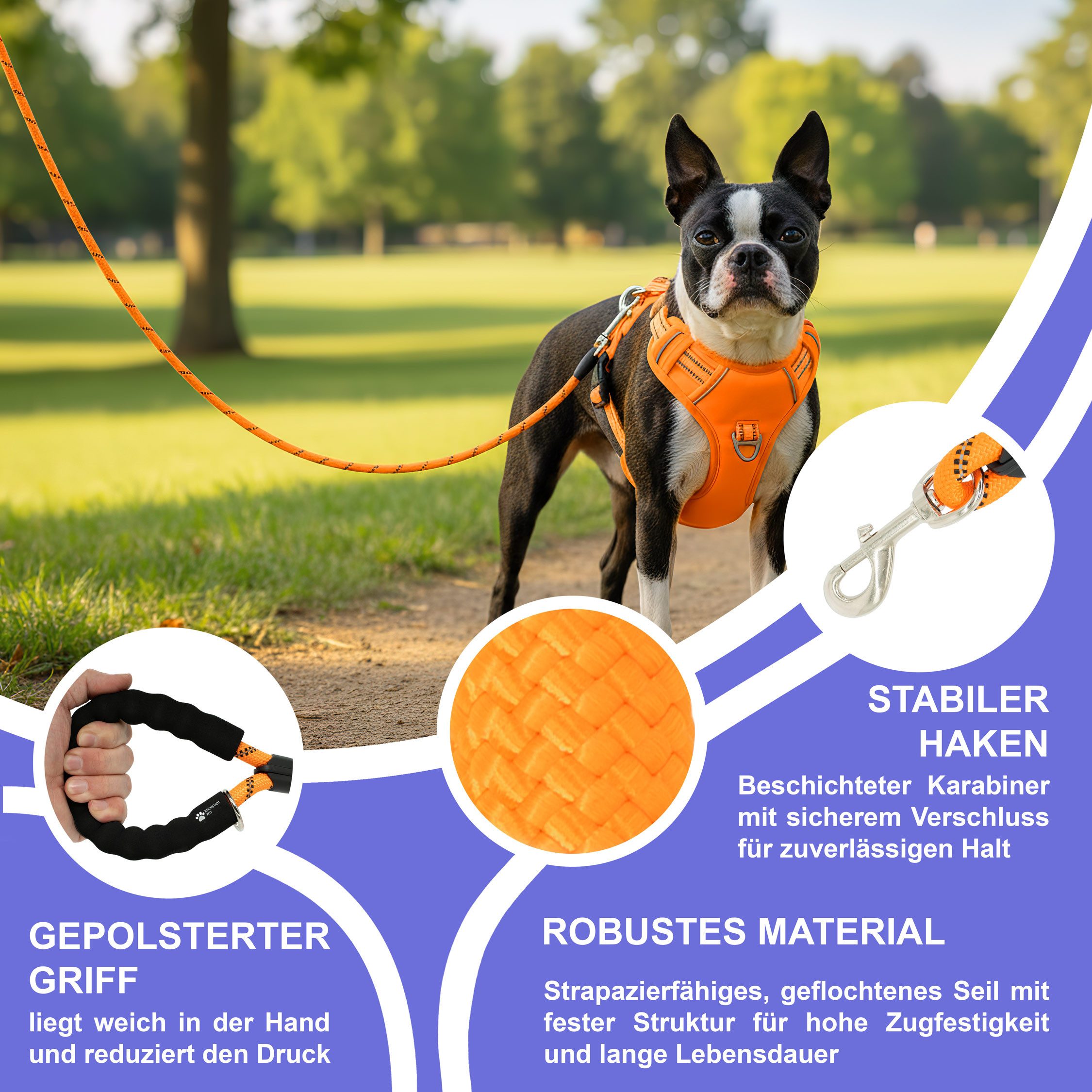 Reichstadt Hundeleine RS Pets Führleine Nylon 25RSP084, Nylon, Ergonomischer EVA-gepolsterter Griff für Blasenschutz