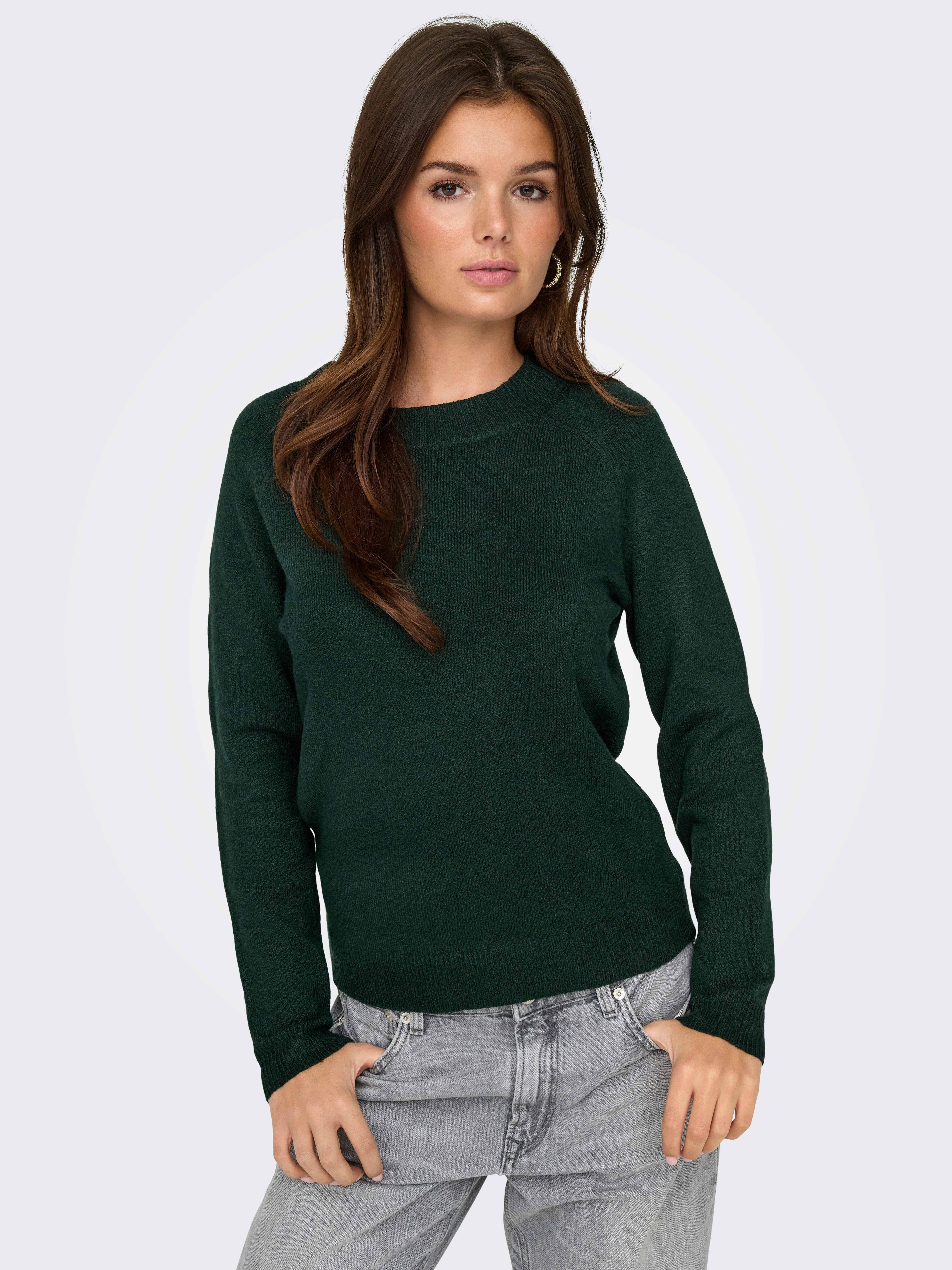 ONLY Rundhalspullover ONLRICA LIFE L/S PULLOVER KNT NOOS günstig online kaufen