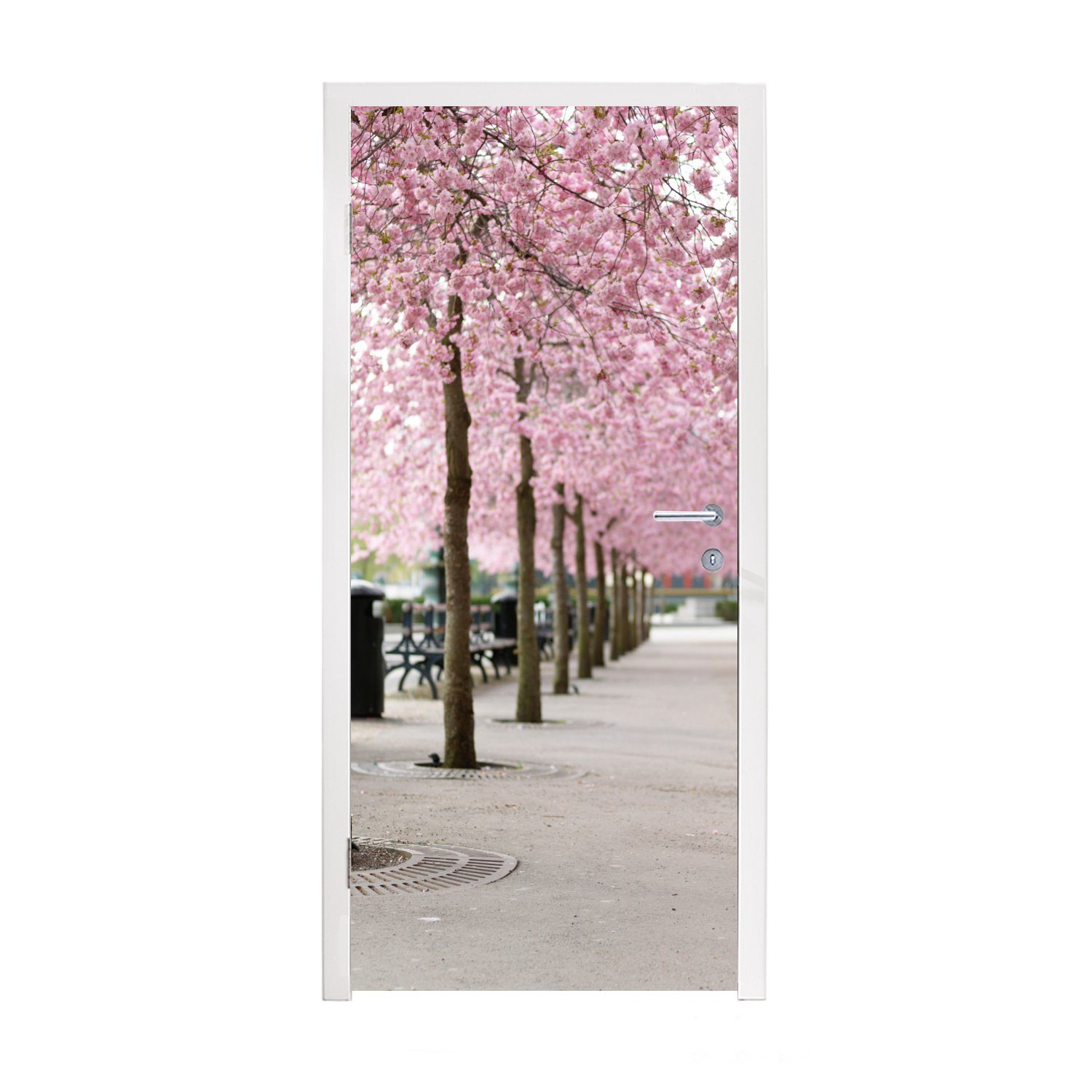 Sakura Bäume, Matt, für Frühling MuchoWow Türtapete Fototapete bedruckt, Tür, - - Türaufkleber, 75x205 (1 St), cm
