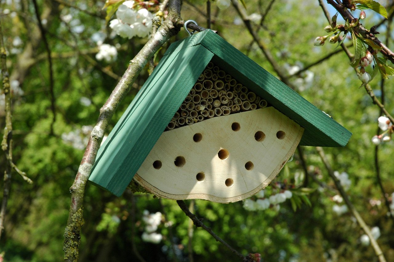 dobar Insektenhotel Dobar Insektenhotel Nisthilfe für Wildbienen 22 x