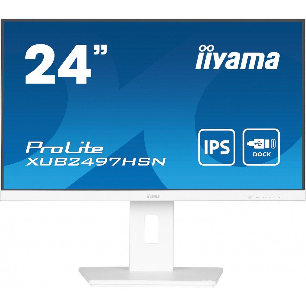 Iiyama TFT-Monitor (1920 x 1080 px, FHD, 1 ms Reaktionszeit, IPS, Hohe Farbgenauigkeit)