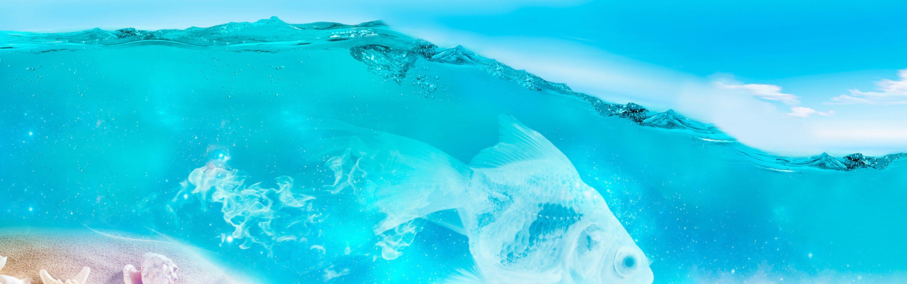 versch. Größen See wandmotiv24 Hellblau Premium Küchenrückwand (1-tlg), Flaschenpost Wasser Nischenrückwand Hartschaum in Muschel,