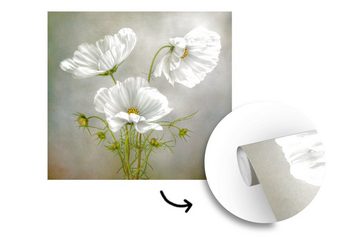 MuchoWow Fototapete Blumen - Stillleben - Mohn - Weiß - Botanisch, Matt, bedruckt, (4 St), Vliestapete für Wohnzimmer Schlafzimmer Küche, Fototapete