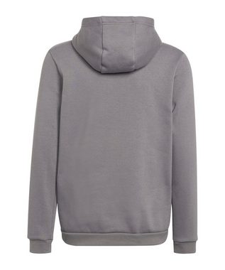 adidas Performance Sweatshirt Entrada 22 Hoody Kids