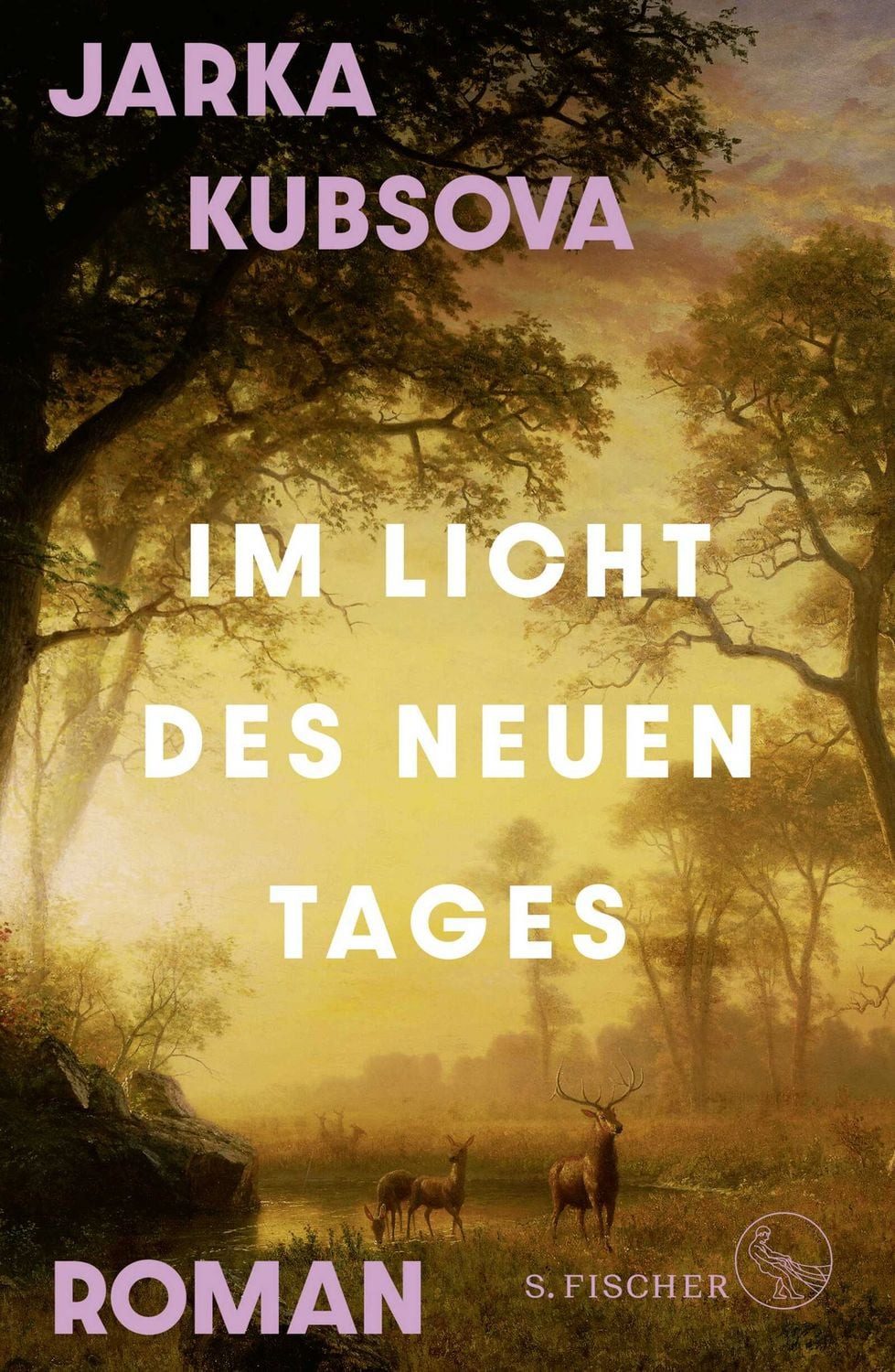 Im Licht des neuen Tages / Jarka Kubsova