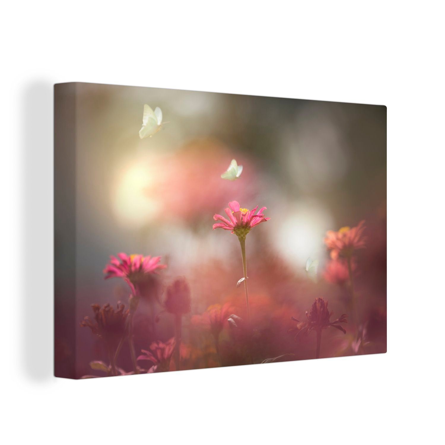 OneMillionCanvasses® Leinwandbild Schmetterling - Blumen - Frühling, (1 St), Wandbild Leinwandbilder, Aufhängefertig, Wanddeko, 30x20 cm