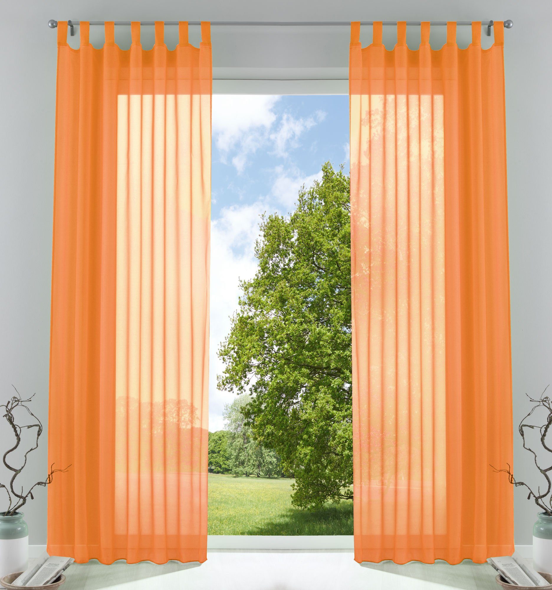 Gardinenbox Gardine, Schlaufen (2 St), transparent, günstig online kaufen