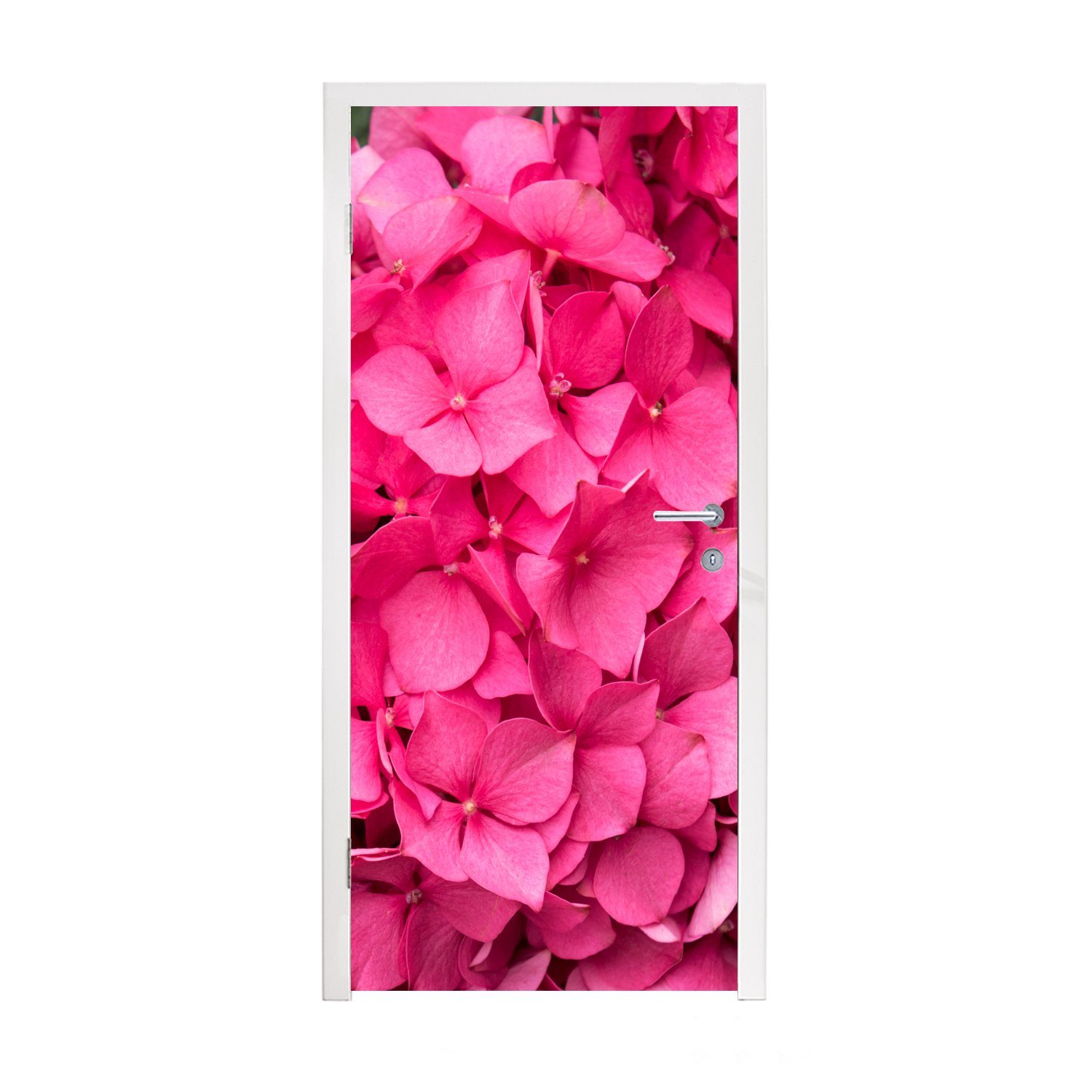 MuchoWow Türtapete Nahaufnahme rosa Türaufkleber, bedruckt, Fototapete Matt, (1 Tür, Hortensienblüten, 75x205 cm St), für