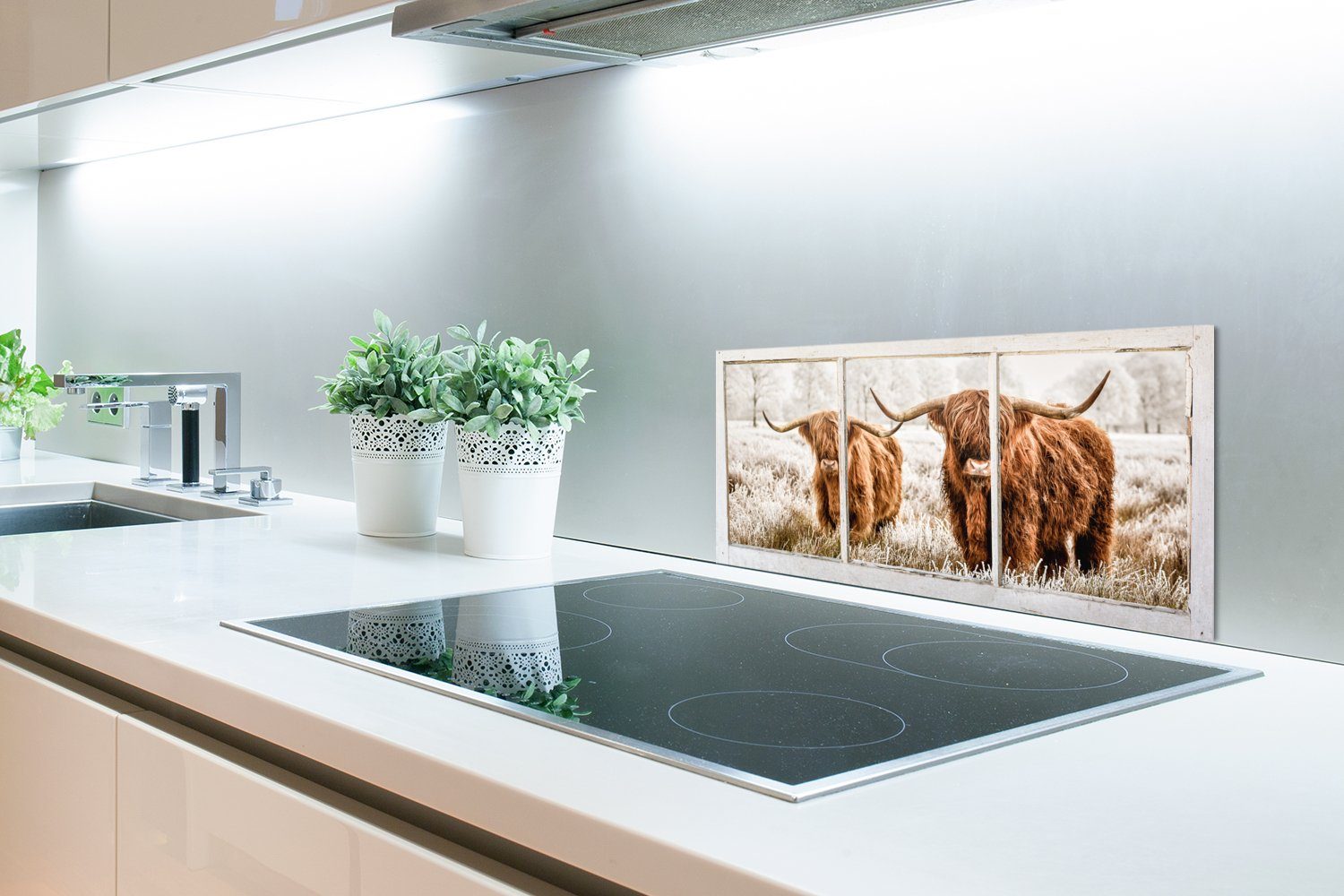 MuchoWow Küchenrückwand Schottischer Highlander - und Kuh - Küchen Schmutzflecken für Ansicht, (1-tlg), Fett cm, gegen 60x30 Wandschutz
