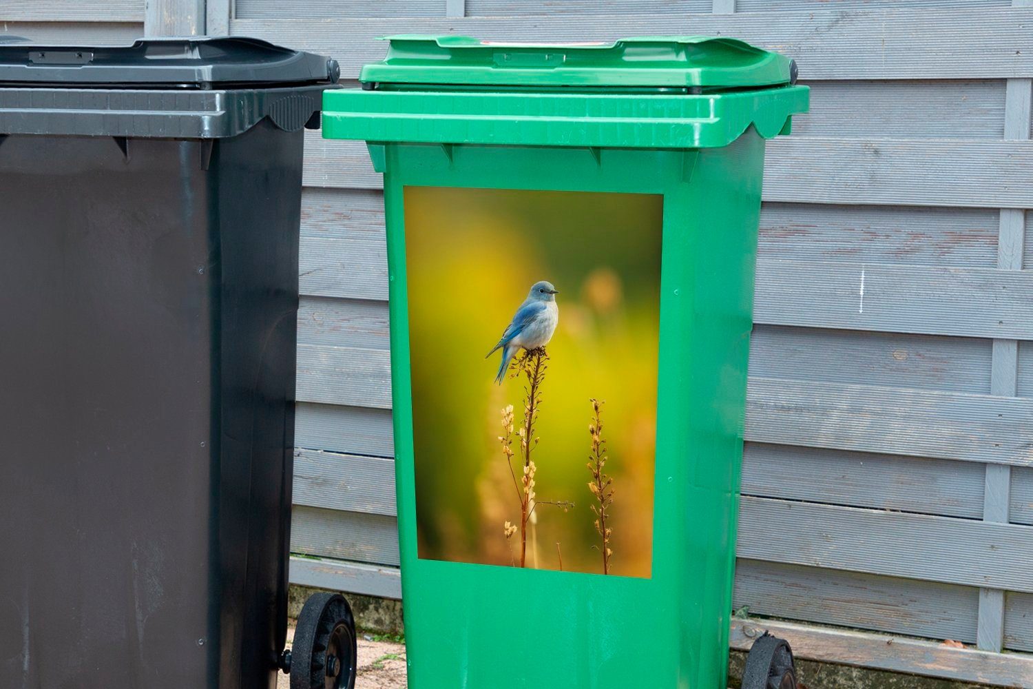 MuchoWow Wandsticker Vogel sitzt auf Distel St), Abfalbehälter einer (1 Sticker, Mülleimer-aufkleber, Container, Mülltonne