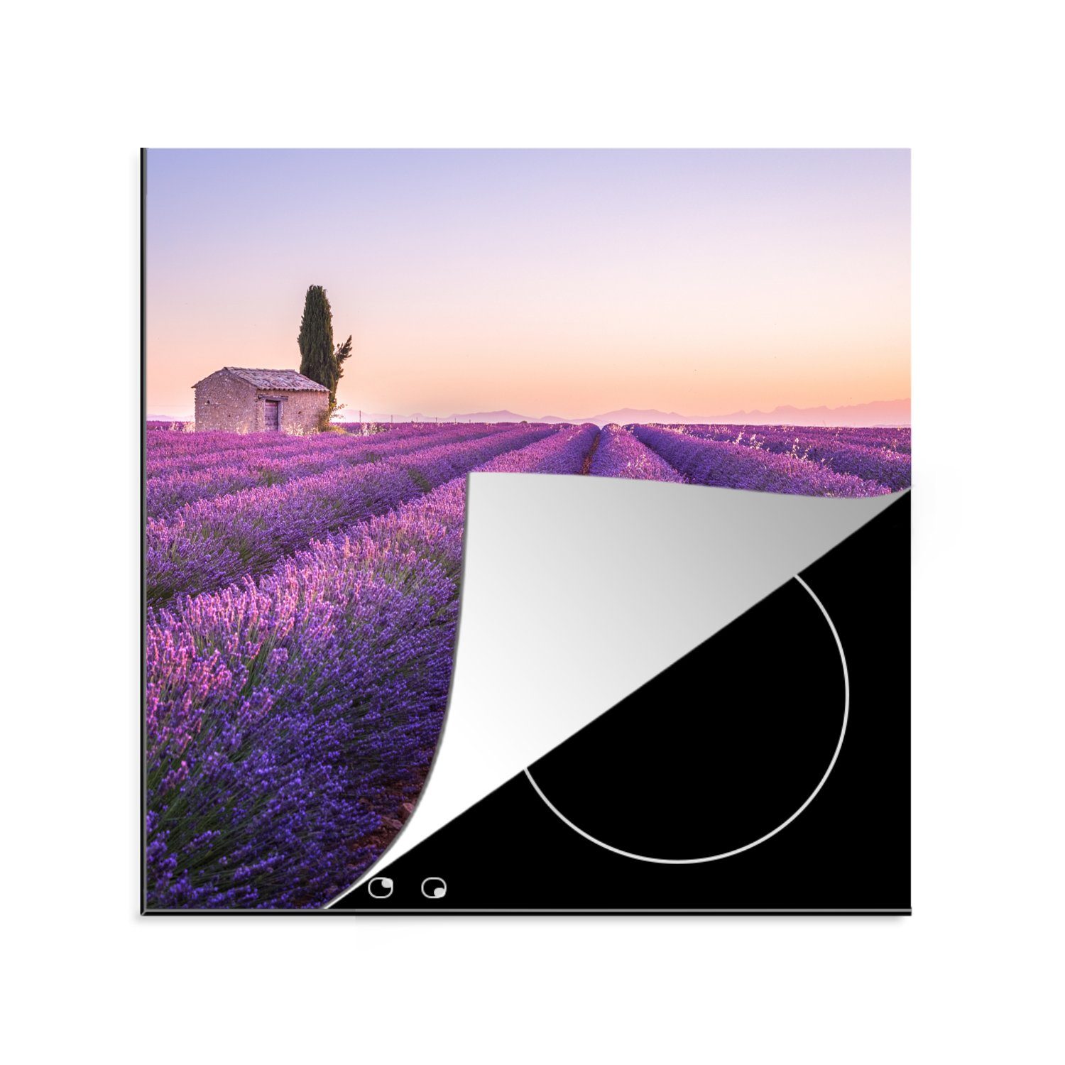 küche - 78x78 Lila MuchoWow Ceranfeldabdeckung, Herdblende-/Abdeckplatte - (1 cm, - tlg), Blumen, Sonnenuntergang für Lavendel Arbeitsplatte Vinyl,