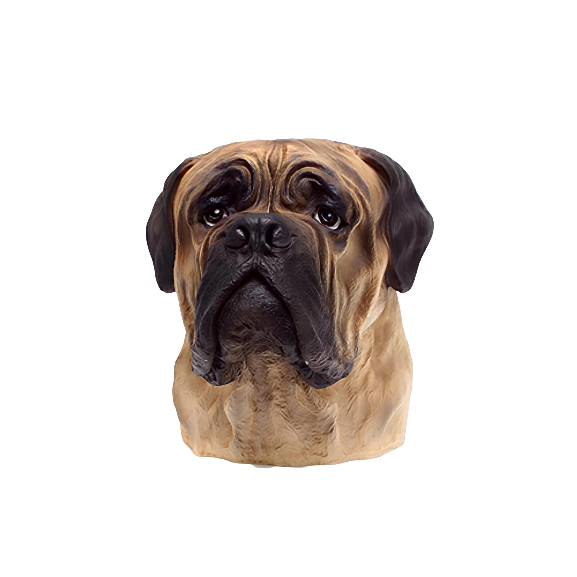Dekofigur Dekorative Figur Statue Skulptur 35 cm - Bulldogge Büste A182