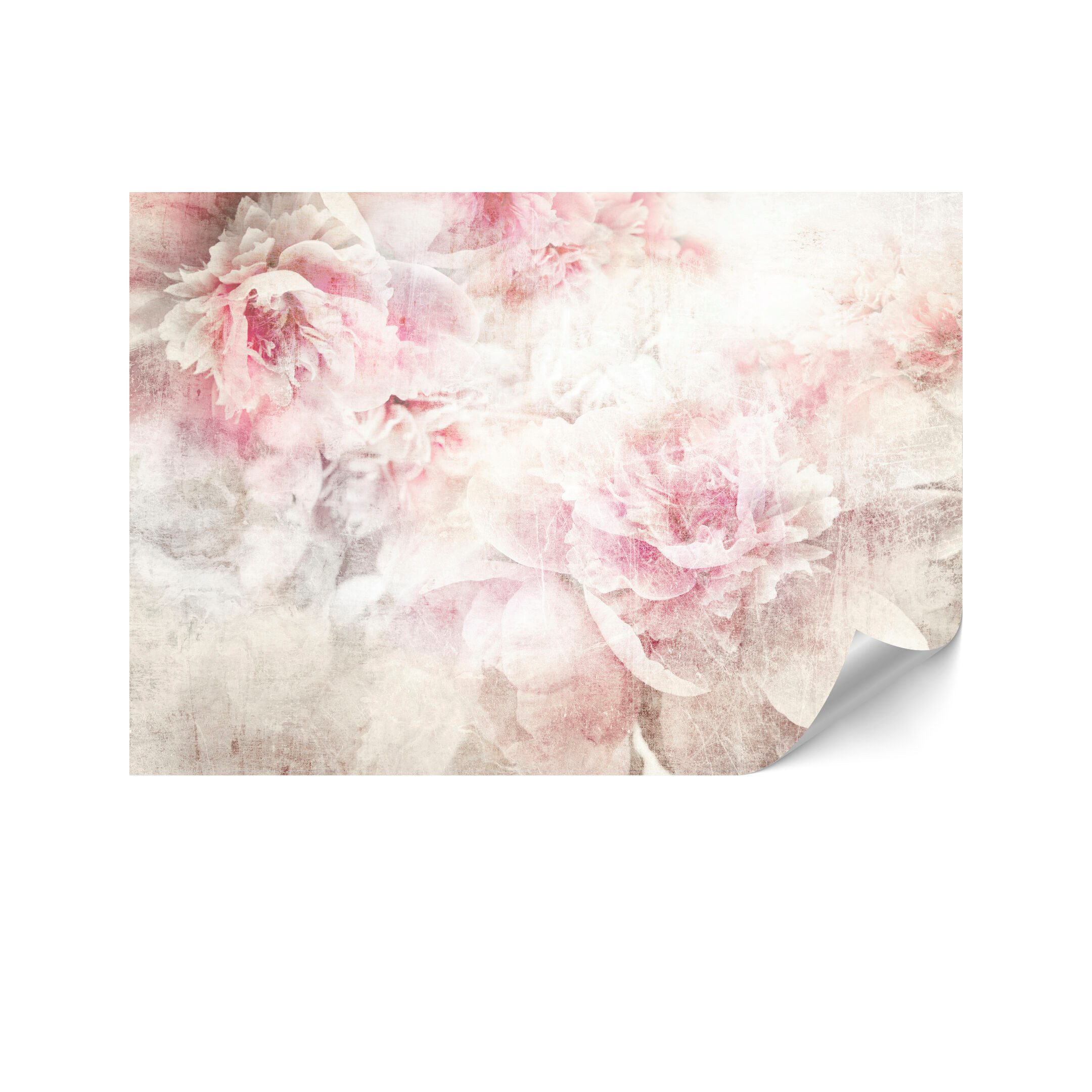 LUMASOUL Fototapete 250x175 cm - Vliestapete Shabby Chic - Rosa, Shabby Chic, Rechteckig, Nach innen, Horizontale Ausrichtung