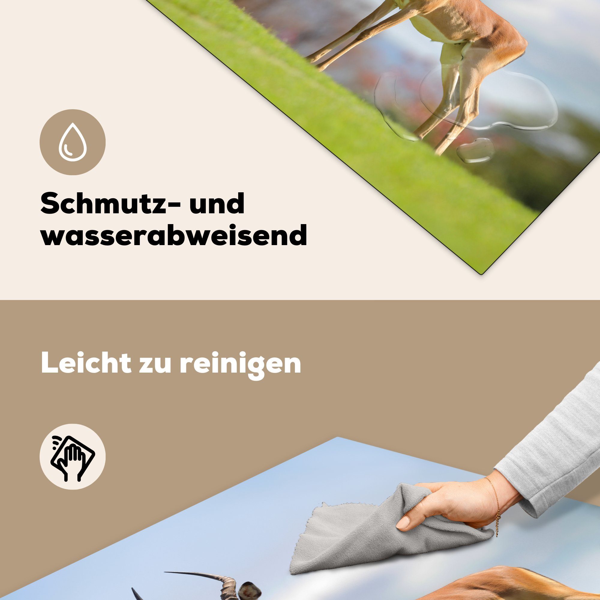 MuchoWow Herdblende-/Abdeckplatte Gazelle - Gras, cm, Vinyl, Grün Arbeitsplatte für küche 78x78 (1 - tlg), Ceranfeldabdeckung