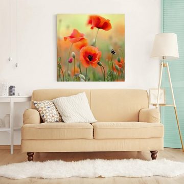 Bilderdepot24 Leinwandbild Blume Natur Modern Roter Sommermohn grün Bild auf Leinwand Groß XXL, Bild auf Leinwand; Leinwanddruck in vielen Größen