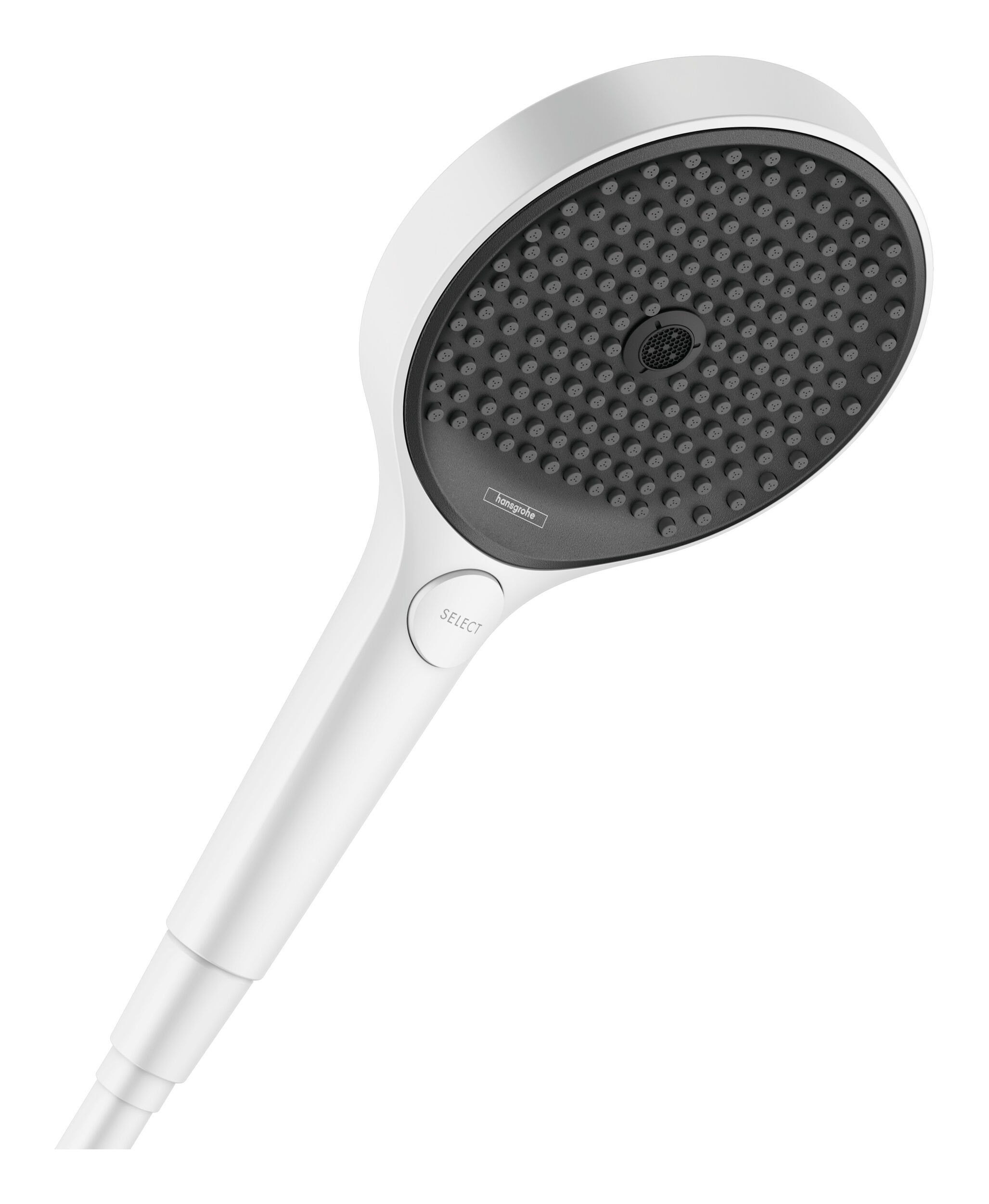 Handbrause Rainfinity 100