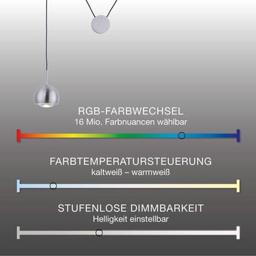 Paul Neuhaus Smarte LED-Leuchte LED Pendellampe Q - ADAM Smart Home, Smart Home, CCT-Farbtemperaturwechsel, RGB-Farbwechsel, Dimmfunktion, Memoryfunktion, mit Leuchtmittel, Hängeleuchte Zugpendel CCT RGB Farbwechsel dimmbar