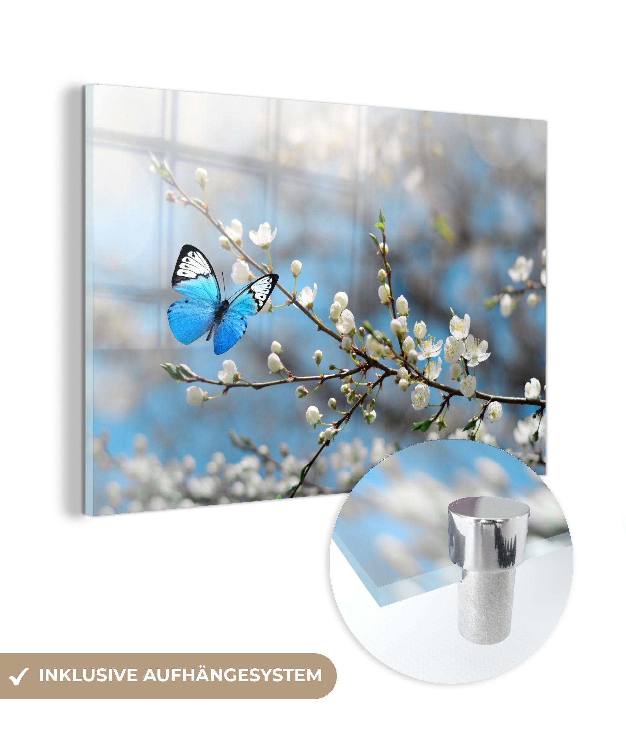 MuchoWow Acrylglasbild Sakura - Schmetterling - Frühling, (1 St), Acrylglasbilder Wohnzimmer & Schlafzimmer