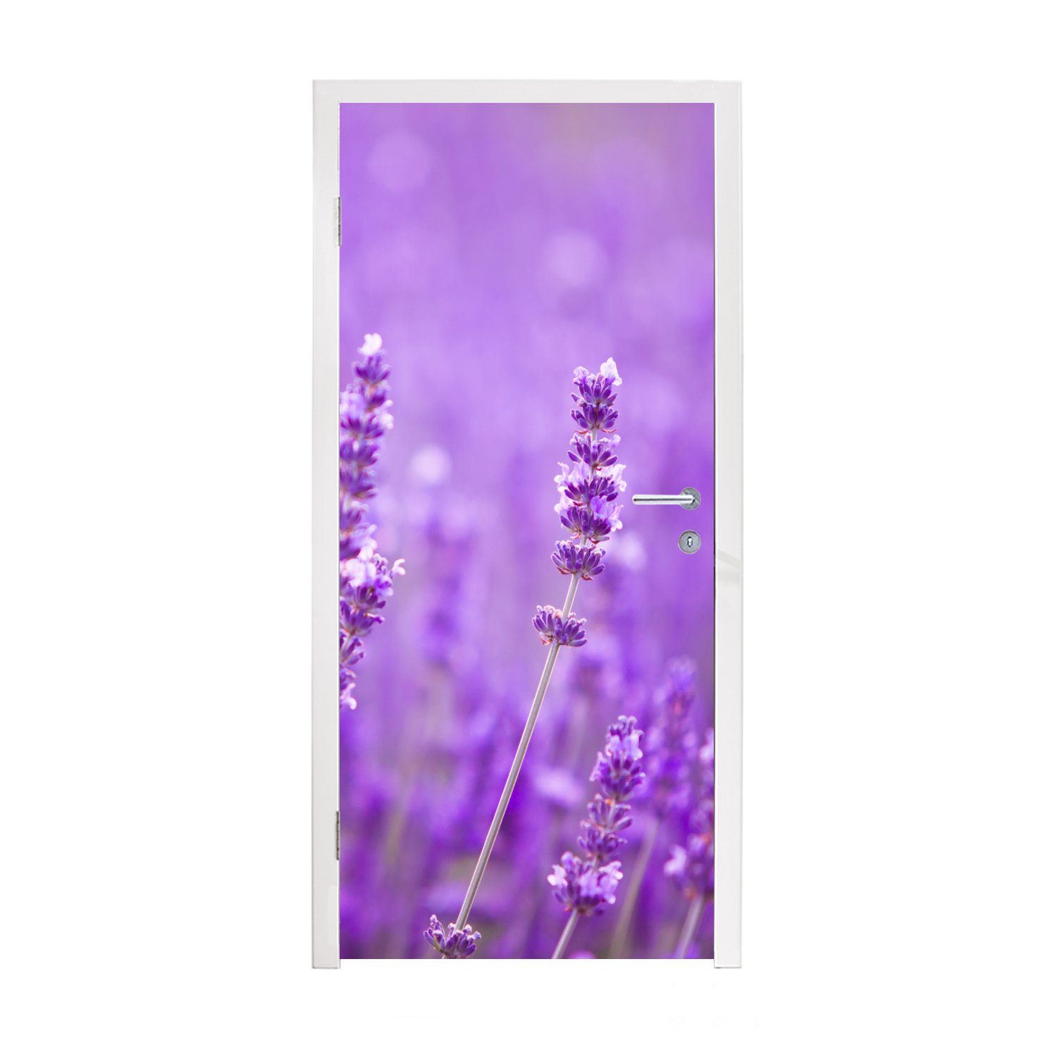 MuchoWow Türtapete Lavendel Blumen 75x205 Nahaufnahme Fototapete Matt, - Lila, für cm - (1 - Tür, bedruckt, St), Türaufkleber