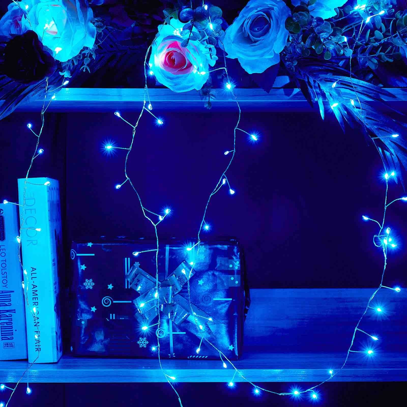 Fernbedienung, Hochzeit Fest Blau Garten für Party, LED-Lichterkette Deko Weihnachten dimmbar, Rosnek 3M/6M, Timer, USB, wasserdicht,