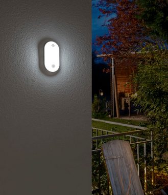 Brennenstuhl LED Wandleuchte OL 1650 P, LED fest integriert, Neutralweiß, mit Bewegungsmelder