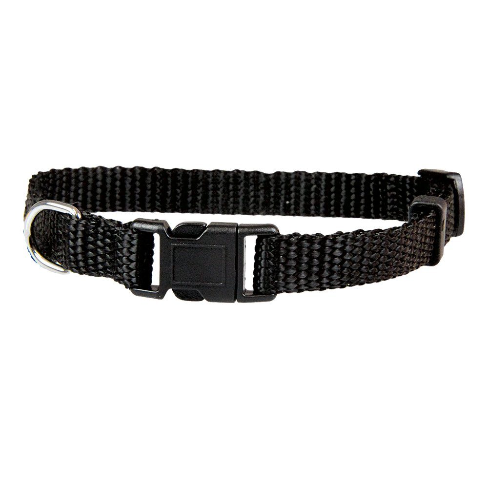 Hunde-Halsband Welpen Halsbänder - Ideal für Züchter - 4 Farben